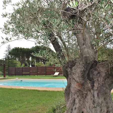 Oda ve Kahvaltı Cuor Di Lavanda