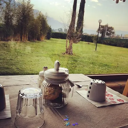 Cuor Di Lavanda