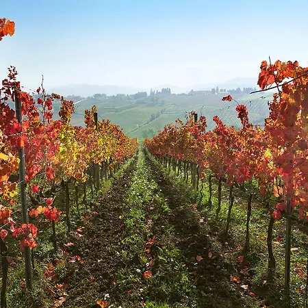 Cuor Di Lavanda Oda ve Kahvaltı 4*