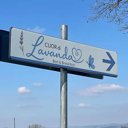 Cuor Di Lavanda Cannara