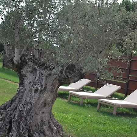 Bed and breakfast Cuor Di Lavanda