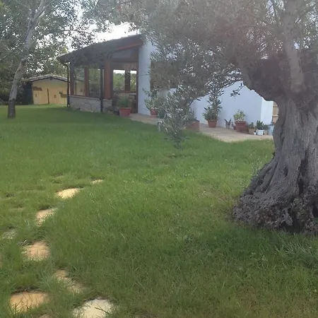 Cuor Di Lavanda
