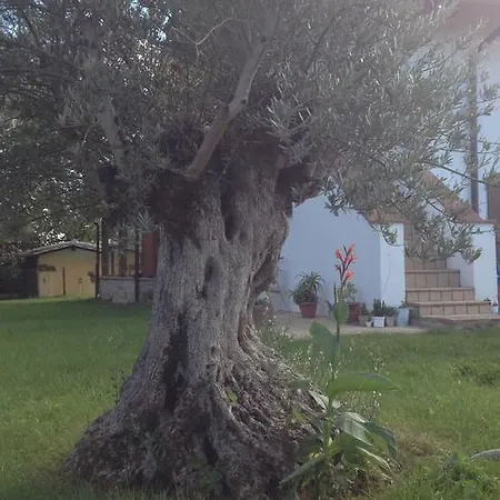 Bed and breakfast Cuor Di Lavanda