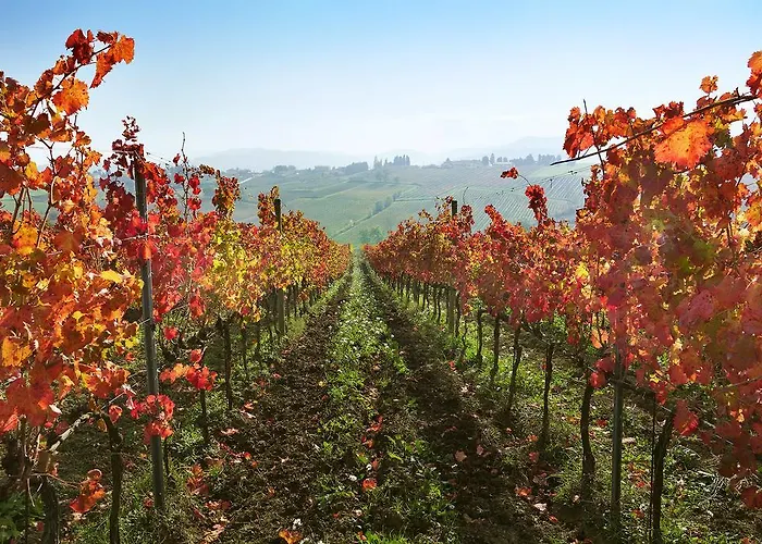 Cuor Di Lavanda Couette-café 4*