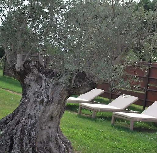 Couette-café Cuor Di Lavanda