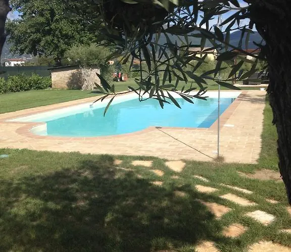 Cuor Di Lavanda Cannara