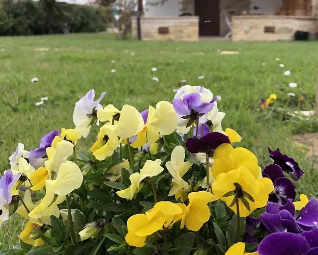 Cuor Di Lavanda Отель типа 